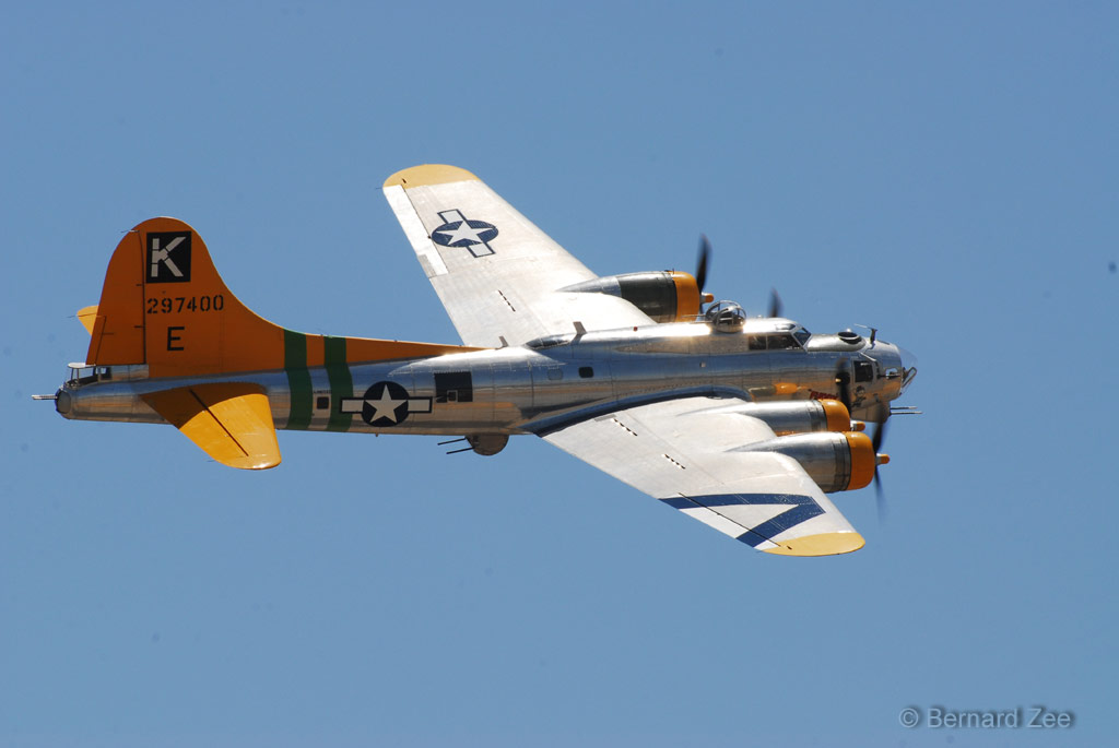 DSZ_8618